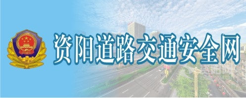 黄色日大逼资阳道路交通安全网